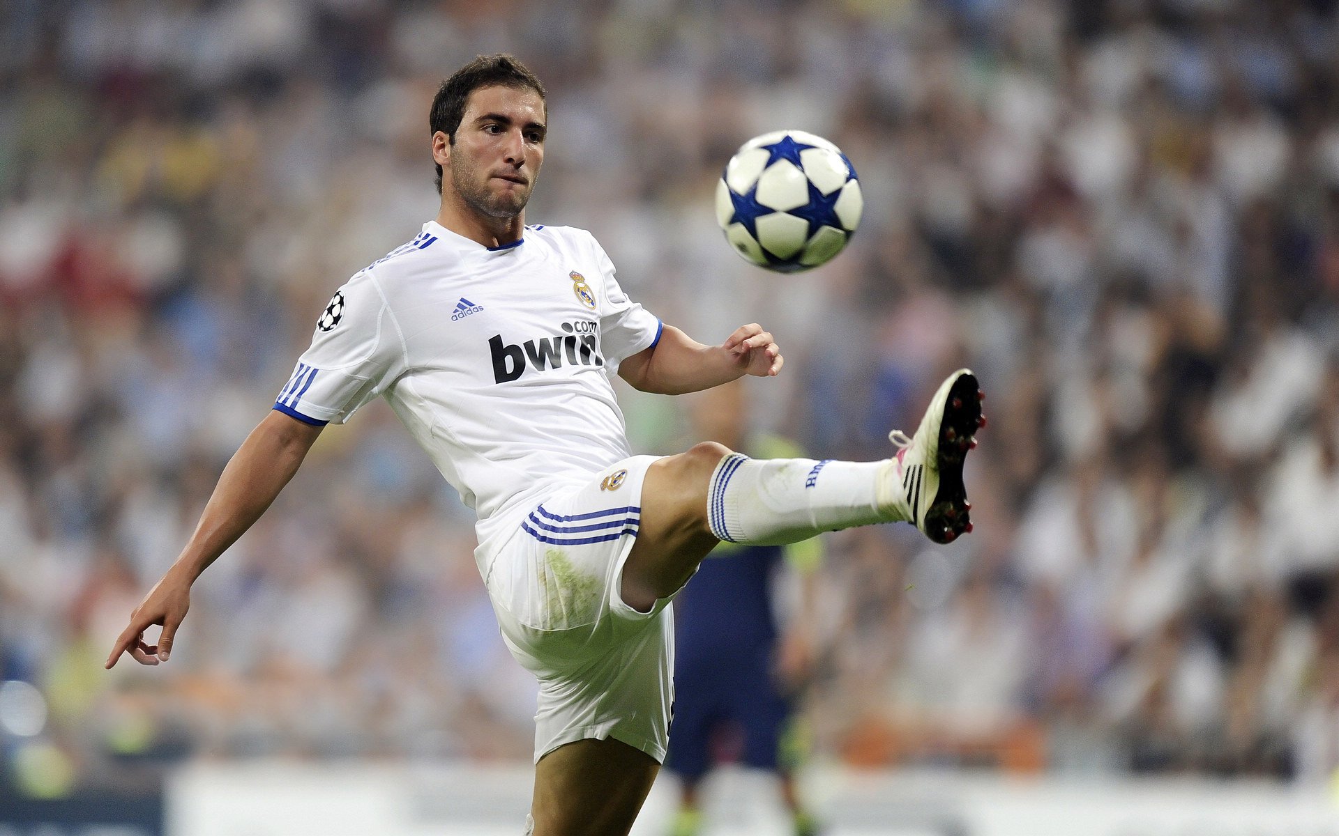 德甲冠军之争：拜仁连续追赶，在关键战中取胜，拜仁豪夺德甲九连冠