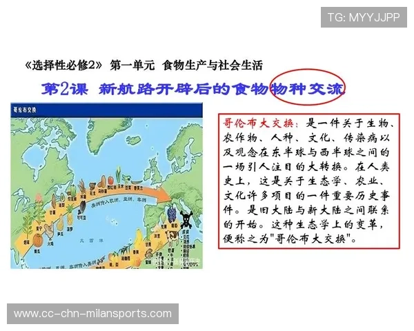 体育文化的交流与推广：全球视野下的发展